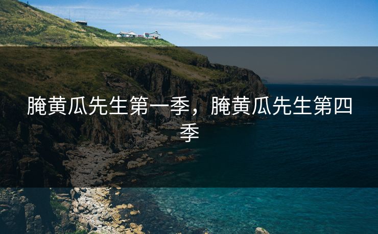 腌黄瓜先生第一季，腌黄瓜先生第四季