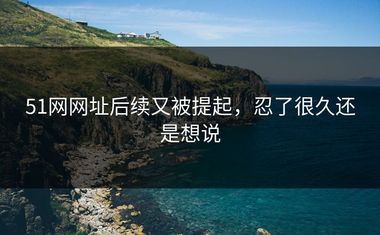 51网网址后续又被提起，忍了很久还是想说